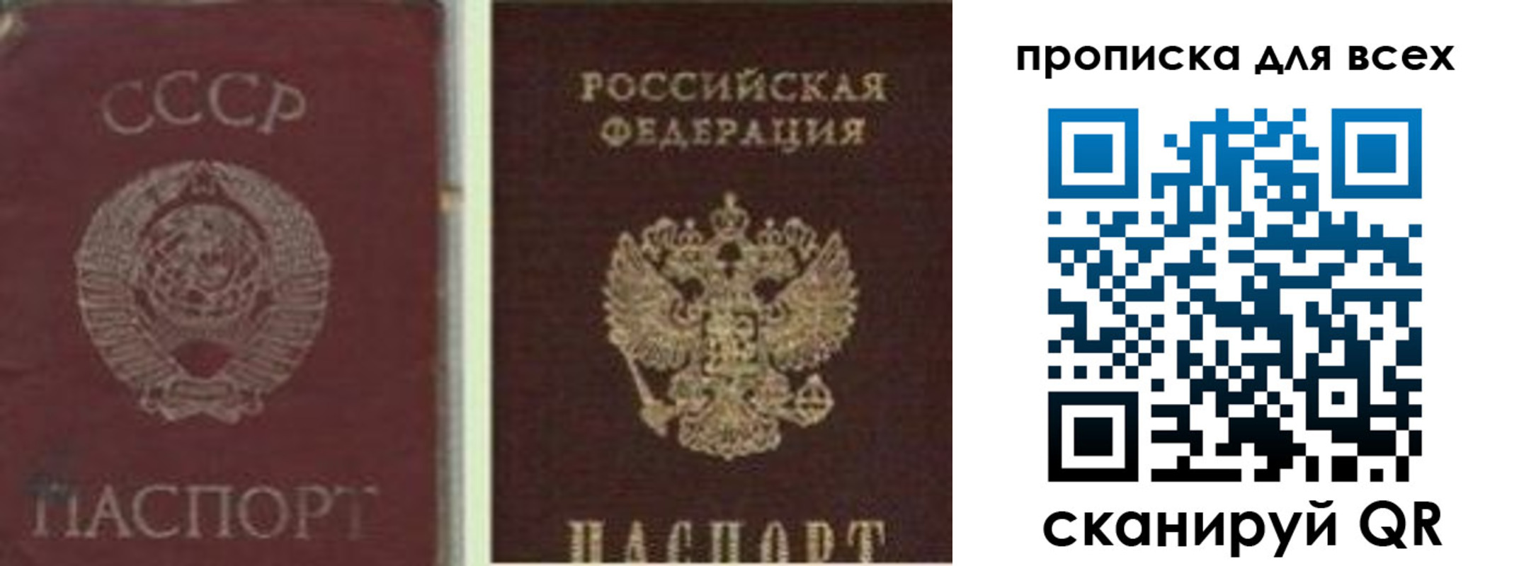 временная прописка в Дмитрове